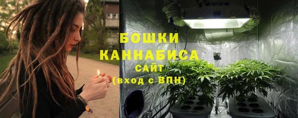 спиды Дмитриев